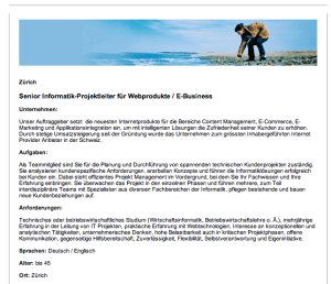 Ad for Senior Project Manager e-Business